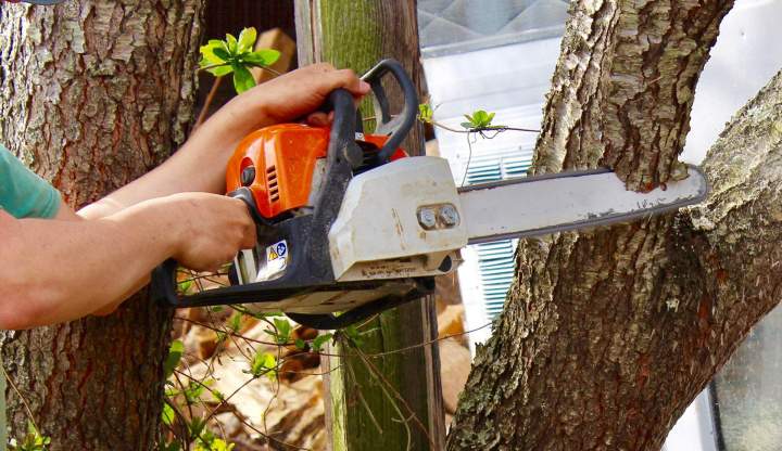 Abattage arbre Aspiran